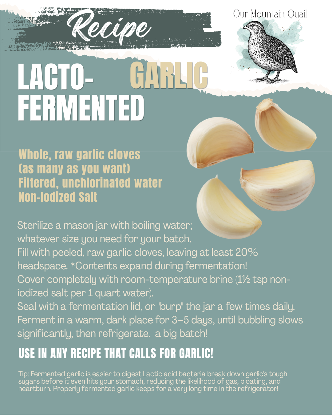 Lacto-Fermented Garlic