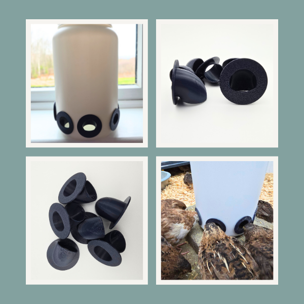 Quail Chick Feeder Ports