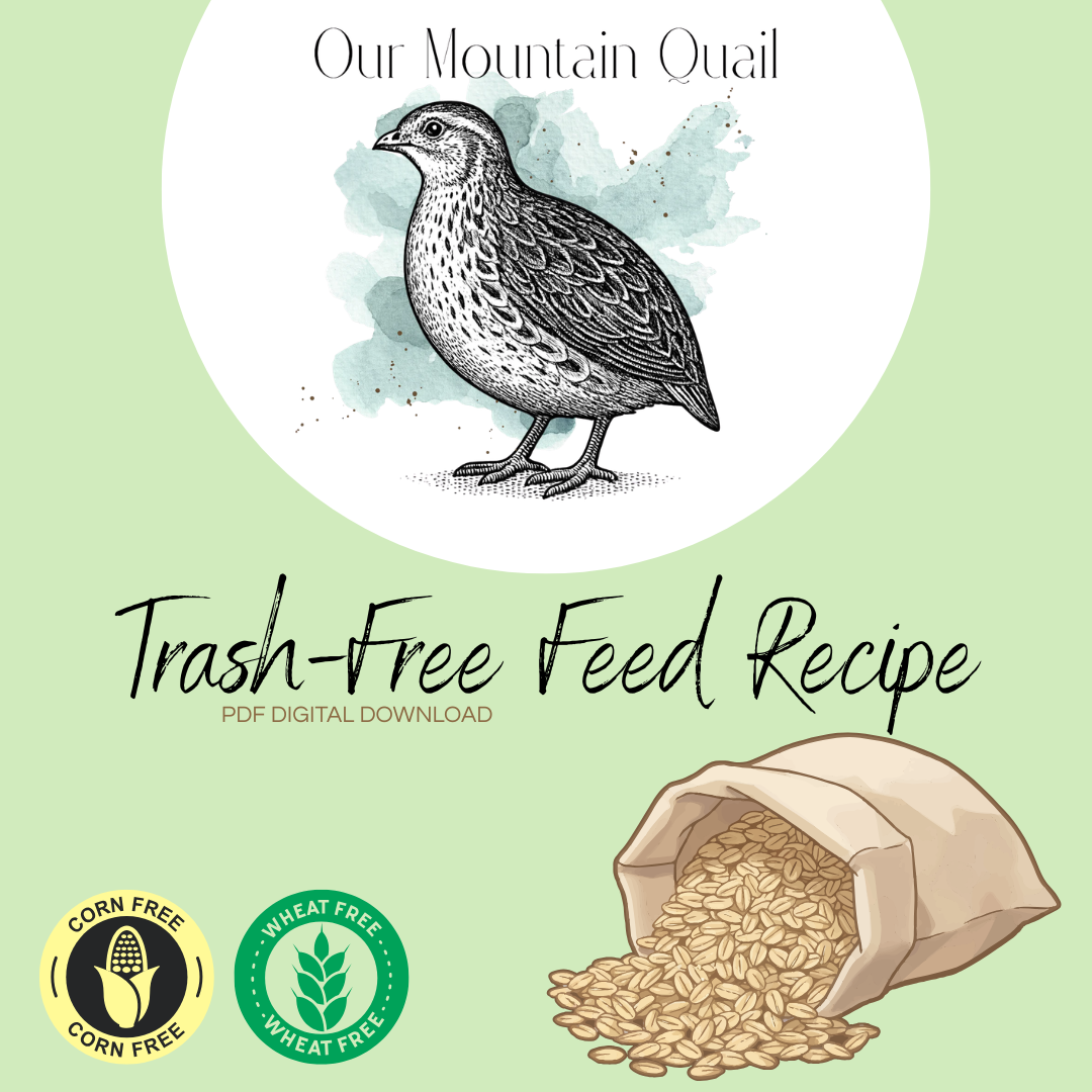 Our Mountain Quail Feed Recipes